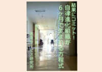 書籍『結果にコミット!自律進化組織が6ヶ月で生まれる方程式』の書影